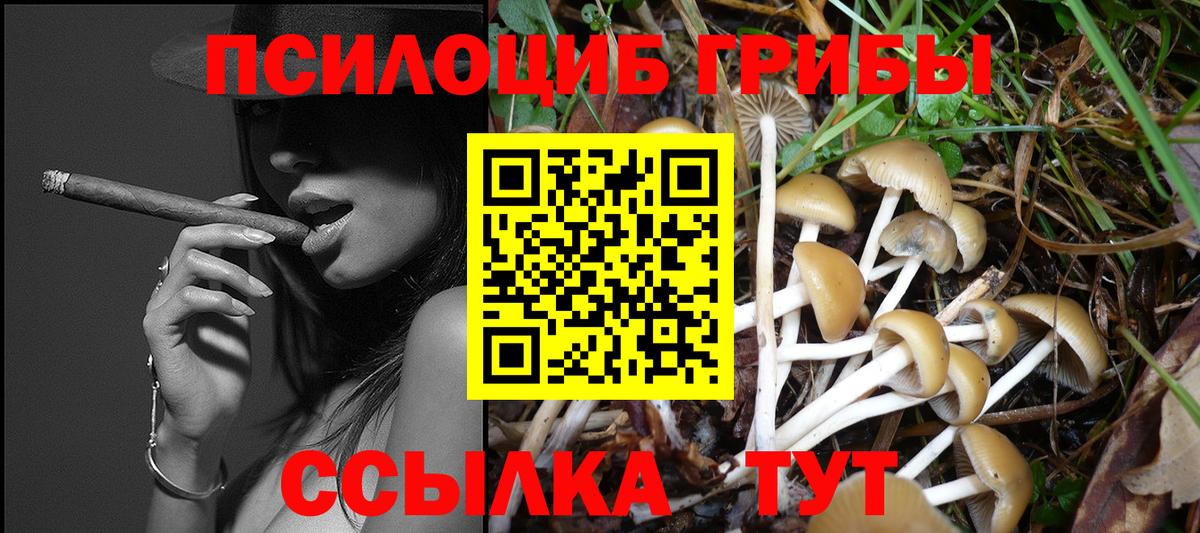 Псилоцибиновые грибы мицелий  Вход с VPN  Октябрьский  Псилоцибиновые грибы Cubensis 